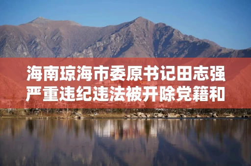 海南琼海市委原书记田志强严重违纪违法被开除党籍和公职