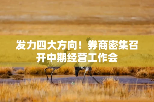 发力四大方向！券商密集召开中期经营工作会