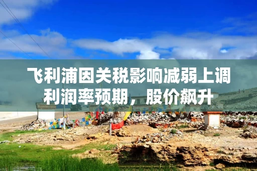 飞利浦因关税影响减弱上调利润率预期，股价飙升