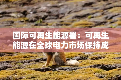 国际可再生能源署：可再生能源在全球电力市场保持成本优势