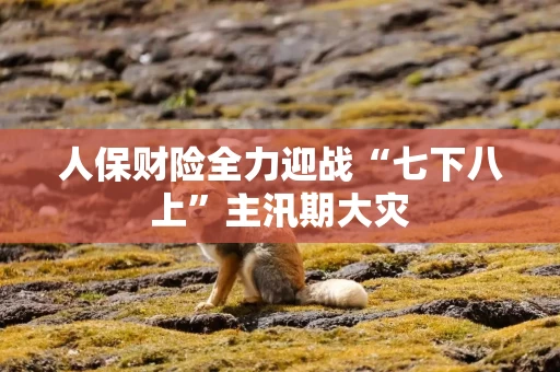 人保财险全力迎战“七下八上”主汛期大灾