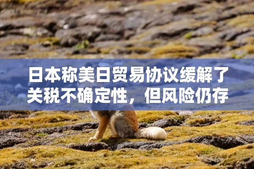 日本称美日贸易协议缓解了关税不确定性，但风险仍存