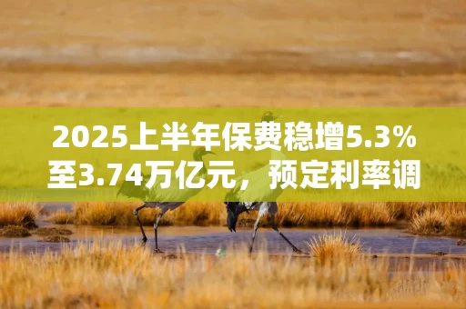 2025上半年保费稳增5.3%至3.74万亿元，预定利率调整引爆6月行情