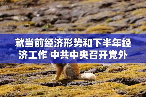 就当前经济形势和下半年经济工作 中共中央召开党外人士座谈会 习近平主持并发表重要讲话
