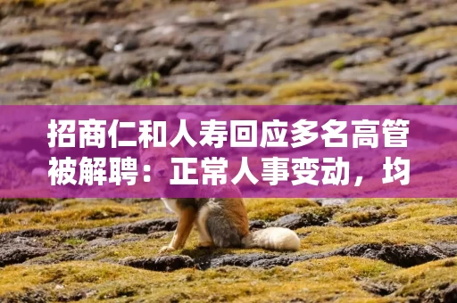 招商仁和人寿回应多名高管被解聘：正常人事变动，均已任新职