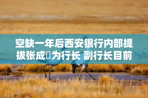 空缺一年后西安银行内部提拔张成喆为行长 副行长目前仅剩2位去年高峰时有6位