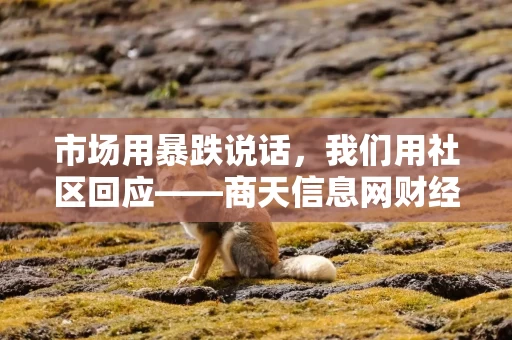 市场用暴跌说话，我们用社区回应——商天信息网财经APP期货频道邀你“抱团取暖”