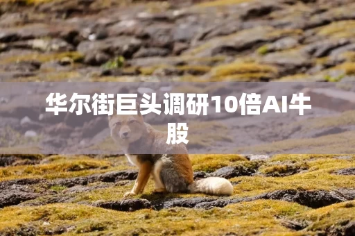 华尔街巨头调研10倍AI牛股