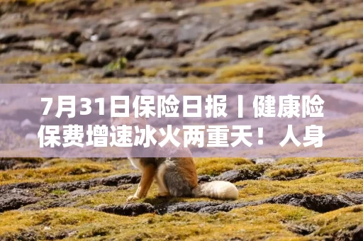7月31日保险日报丨健康险保费增速冰火两重天！人身险产品预定利率切换，中央汇金接手中国农再55.9%股权