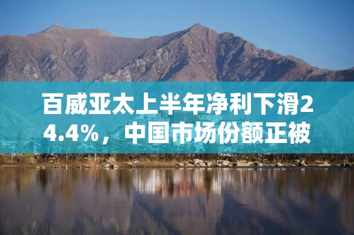 百威亚太上半年净利下滑24.4%，中国市场份额正被喜力蚕食？