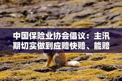 中国保险业协会倡议：主汛期切实做到应赔快赔、能赔尽赔、合理预赔