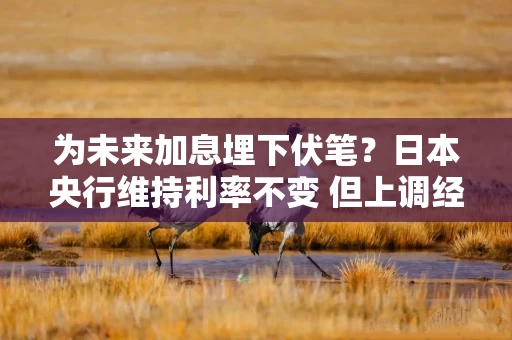 为未来加息埋下伏笔？日本央行维持利率不变 但上调经济和通胀预期