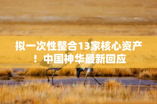 拟一次性整合13家核心资产！中国神华最新回应