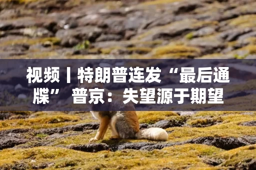 视频丨特朗普连发“最后通牒” 普京：失望源于期望太高