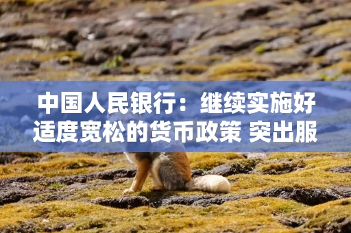 中国人民银行：继续实施好适度宽松的货币政策 突出服务实体经济重点方向