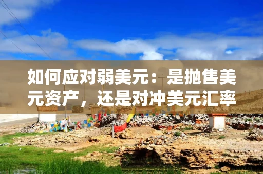 如何应对弱美元：是抛售美元资产，还是对冲美元汇率？