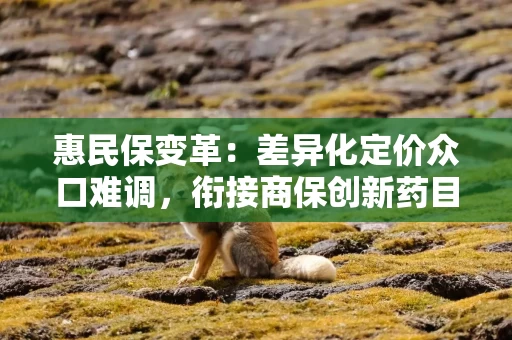惠民保变革：差异化定价众口难调，衔接商保创新药目录有“时差”