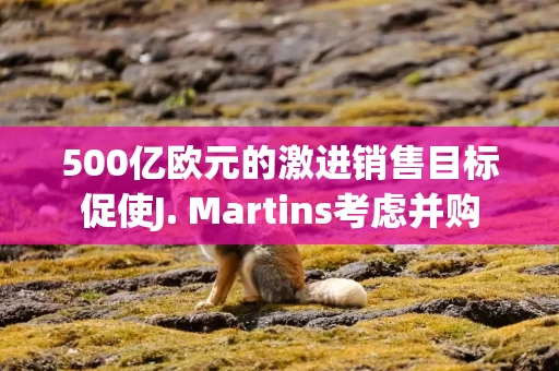 500亿欧元的激进销售目标促使J. Martins考虑并购