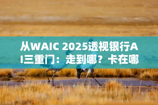从WAIC 2025透视银行AI三重门：走到哪？卡在哪？要去哪？