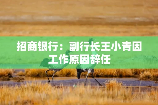 招商银行：副行长王小青因工作原因辞任