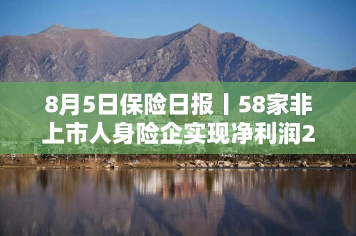 8月5日保险日报丨58家非上市人身险企实现净利润286亿！非上市财险半年净利润超90亿，15家扭亏为盈！