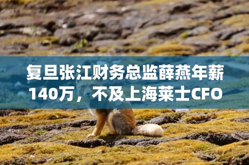 复旦张江财务总监薛燕年薪140万，不及上海莱士CFO陈乐奇的一半 | 上海地区生物医药行业CFO薪酬榜