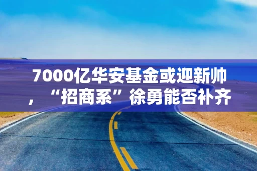 7000亿华安基金或迎新帅，“招商系”徐勇能否补齐“巨轮短板”？