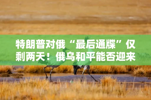 特朗普对俄“最后通牒”仅剩两天！俄乌和平能否迎来新进展？