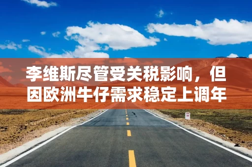 李维斯尽管受关税影响，但因欧洲牛仔需求稳定上调年度预期