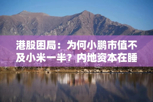 港股困局：为何小鹏市值不及小米一半？内地资本在睡觉！