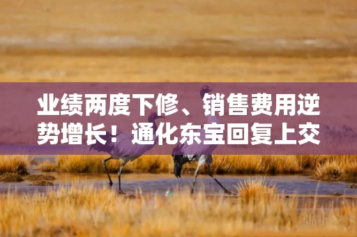 业绩两度下修、销售费用逆势增长！通化东宝回复上交所六连问