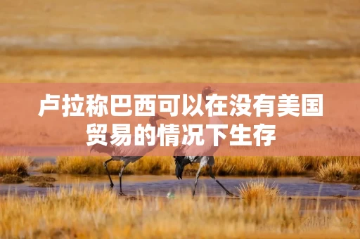卢拉称巴西可以在没有美国贸易的情况下生存