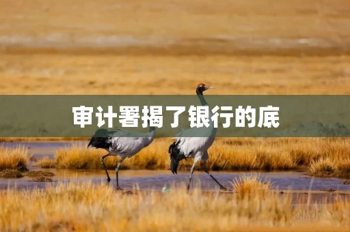 审计署揭了银行的底