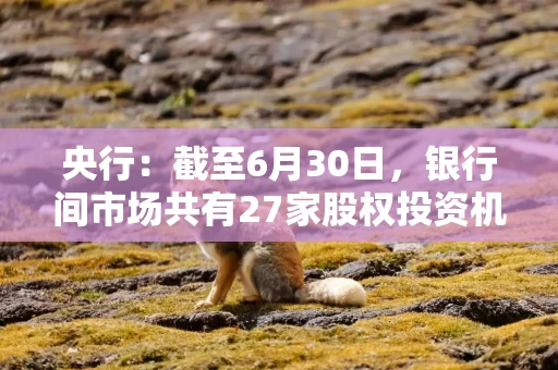 央行：截至6月30日，银行间市场共有27家股权投资机构发行科技创新债券153.5亿元