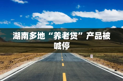 湖南多地“养老贷”产品被喊停