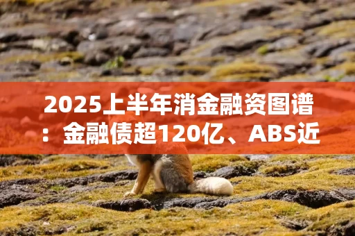 2025上半年消金融资图谱：金融债超120亿、ABS近100亿，利率普降至2%