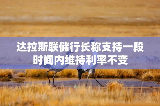 达拉斯联储行长称支持一段时间内维持利率不变