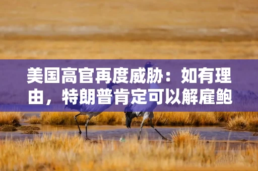美国高官再度威胁：如有理由，特朗普肯定可以解雇鲍威尔