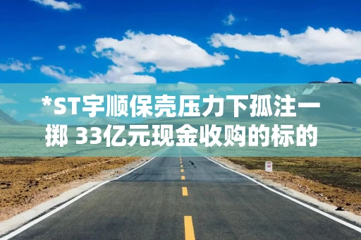 *ST宇顺保壳压力下孤注一掷 33亿元现金收购的标的只有单一客户