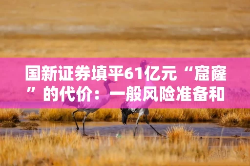 国新证券填平61亿元“窟窿”的代价：一般风险准备和交易风险准备基本归0