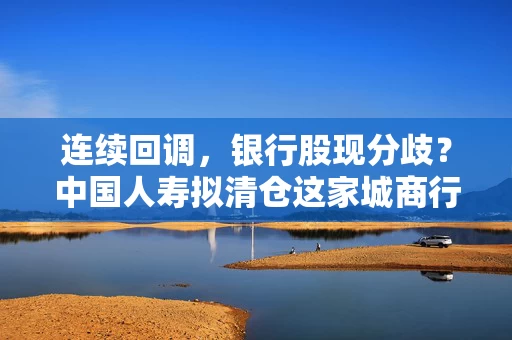 连续回调，银行股现分歧？中国人寿拟清仓这家城商行，仍有12家银行获增持