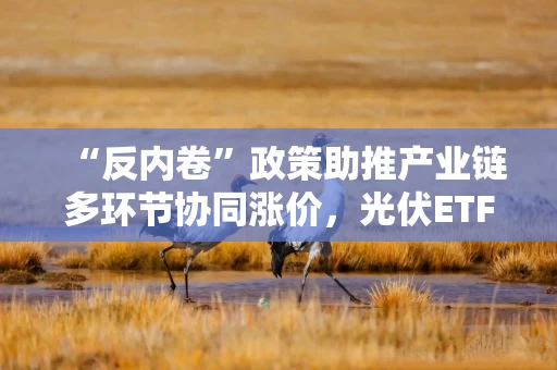 “反内卷”政策助推产业链多环节协同涨价，光伏ETF（515790）最新份额创成立以来新高