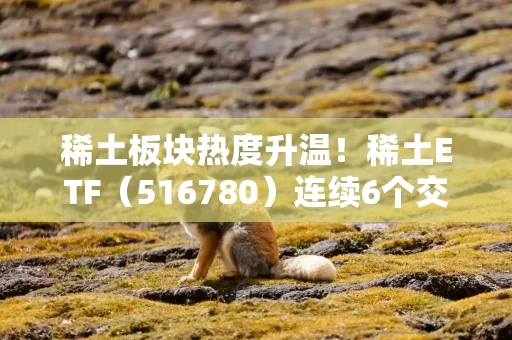 稀土板块热度升温！稀土ETF（516780）连续6个交易日获资金净流入，规模创近三年新高