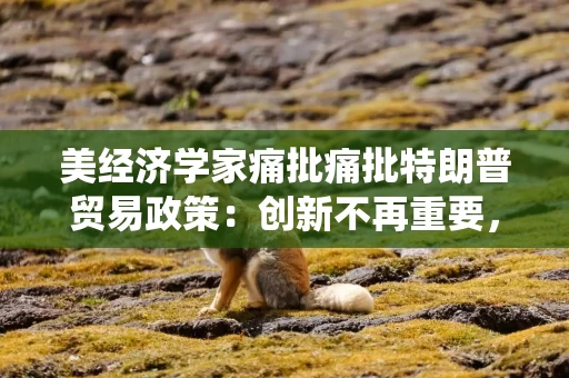 美经济学家痛批痛批特朗普贸易政策：创新不再重要，重要的是讨好总统，库克就是例子
