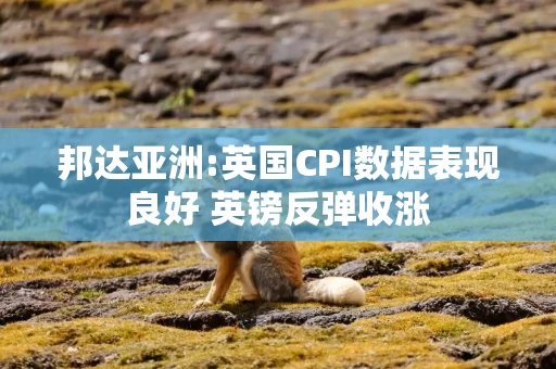 邦达亚洲:英国CPI数据表现良好 英镑反弹收涨