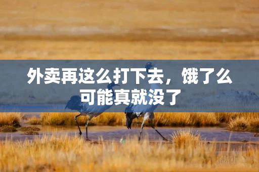 外卖再这么打下去，饿了么可能真就没了