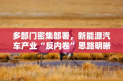 多部门密集部署，新能源汽车产业“反内卷”思路明晰
