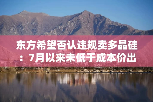 东方希望否认违规卖多晶硅：7月以来未低于成本价出货