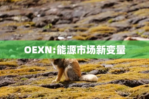 OEXN:能源市场新变量