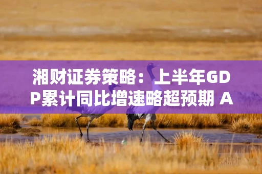 湘财证券策略：上半年GDP累计同比增速略超预期 A股指数持续震荡上行